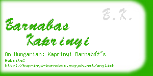 barnabas kaprinyi business card